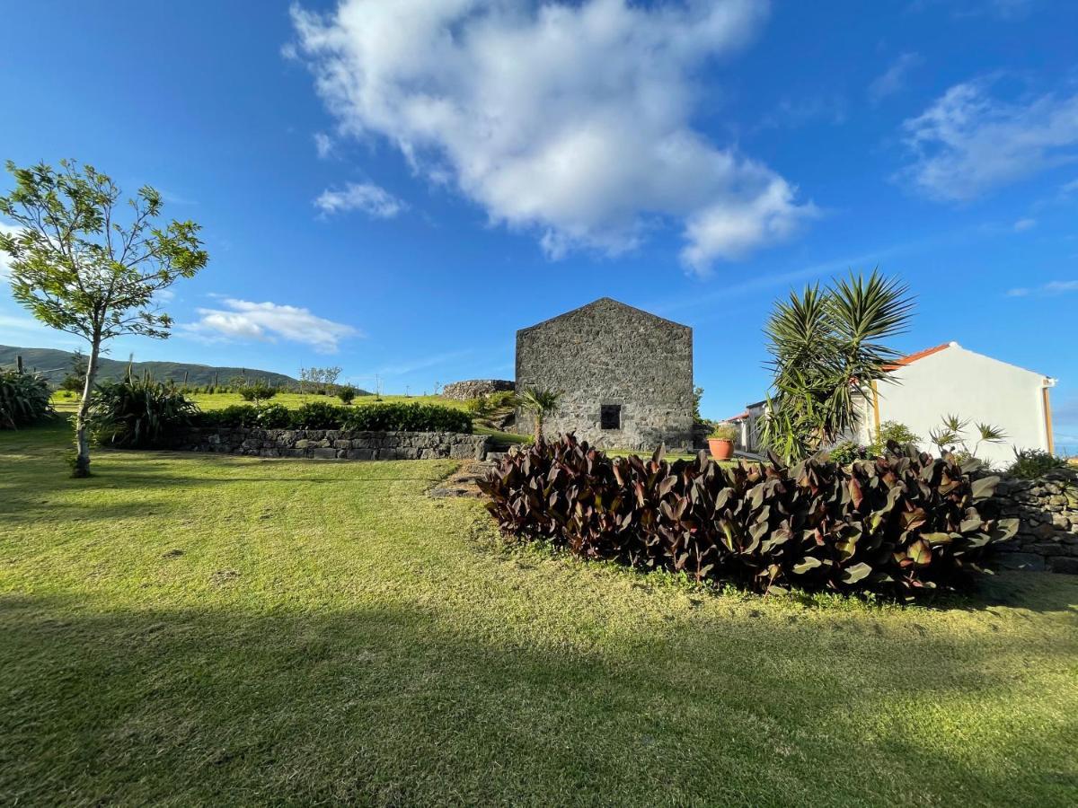 Casa Do Bicho Pau Pedro Miguel