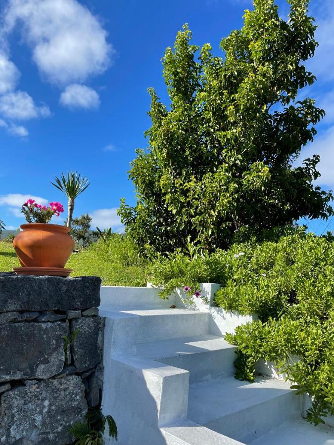 Casa Do Bicho Pau Holiday home *