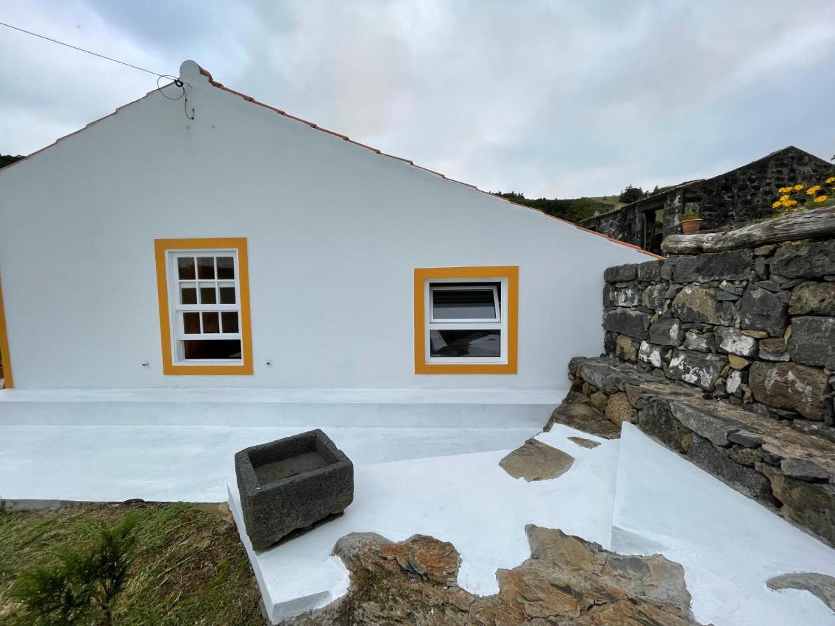 Casa Do Bicho Pau Pedro Miguel
