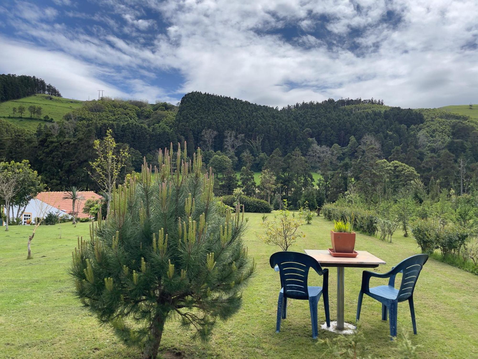 Casa Do Bicho Pau Holiday home Pedro Miguel