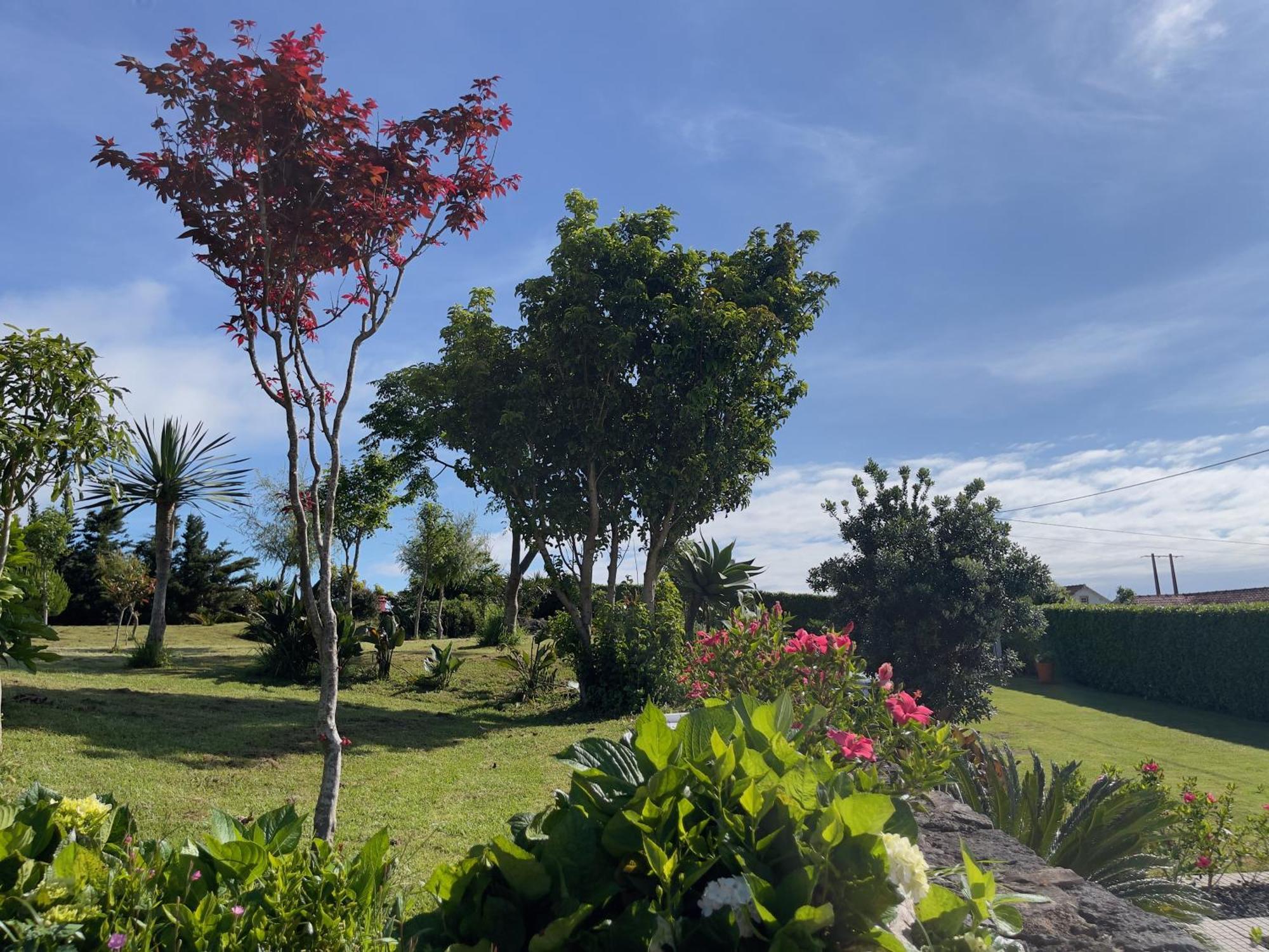 Casa Do Bicho Pau *