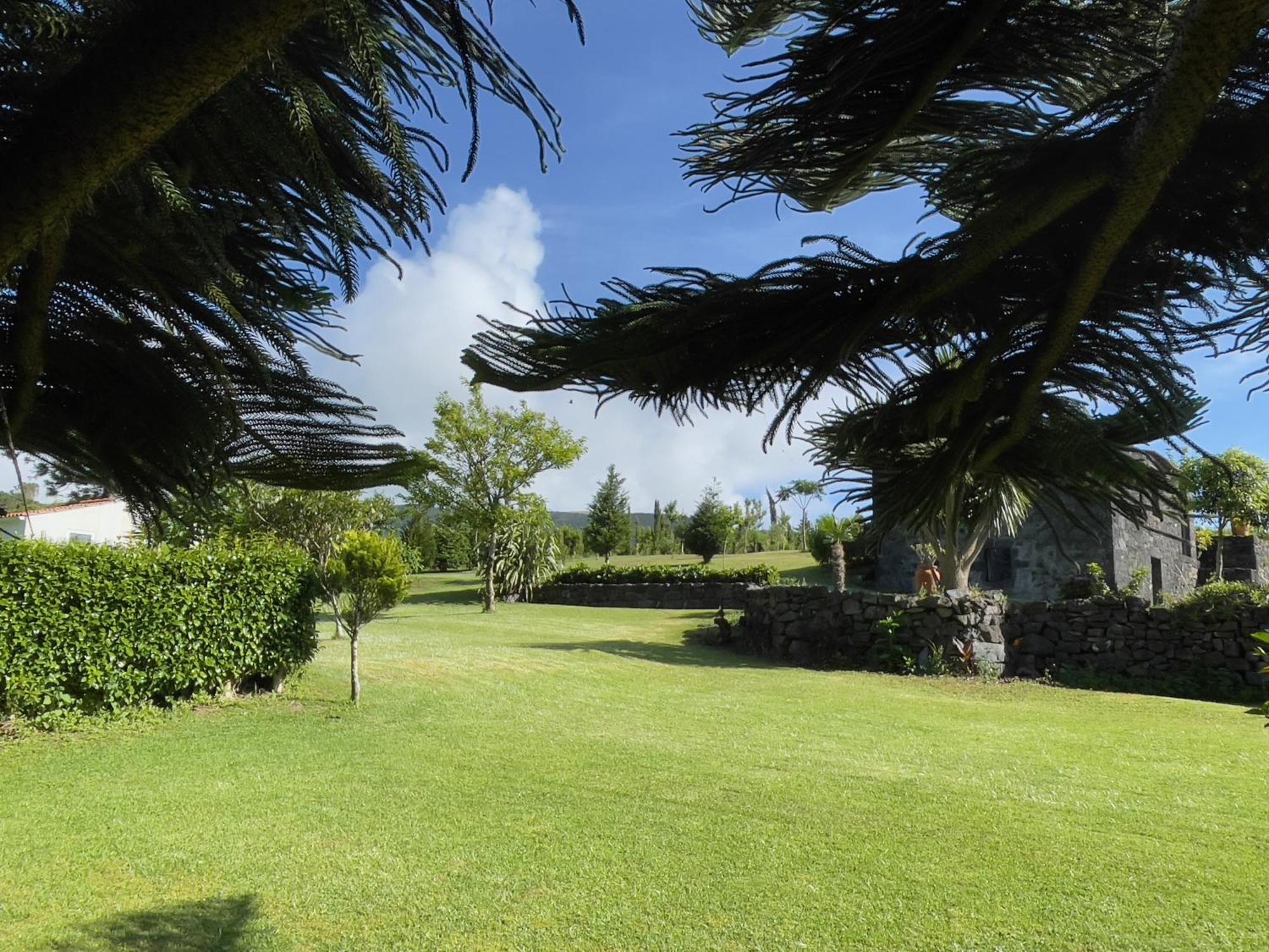 Casa Do Bicho Pau Holiday home *