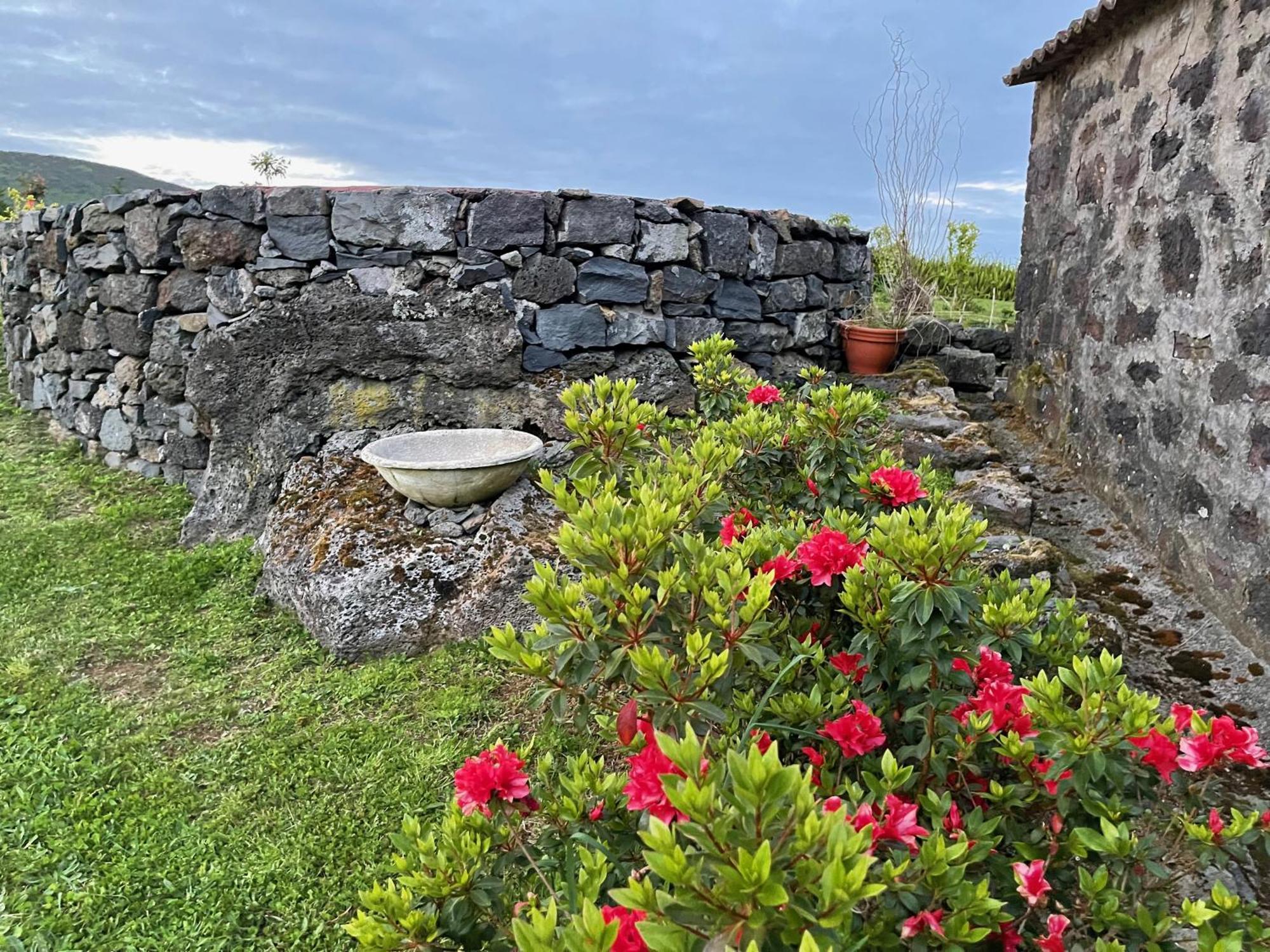 Casa Do Bicho Pau