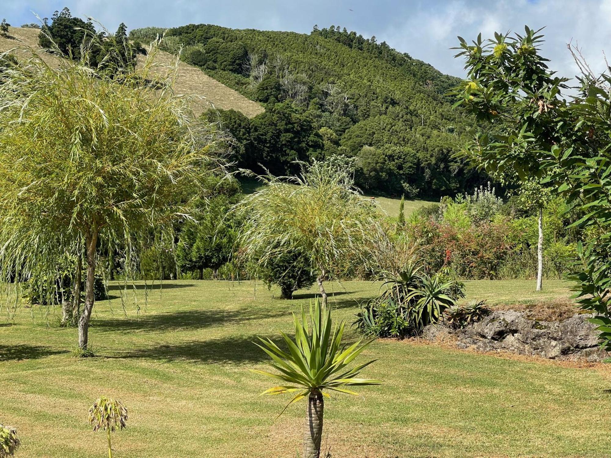 Casa Do Bicho Pau Holiday home Pedro Miguel