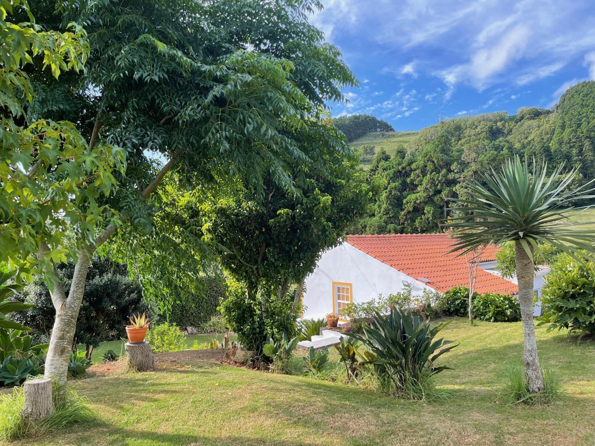 Casa Do Bicho Pau Pedro Miguel