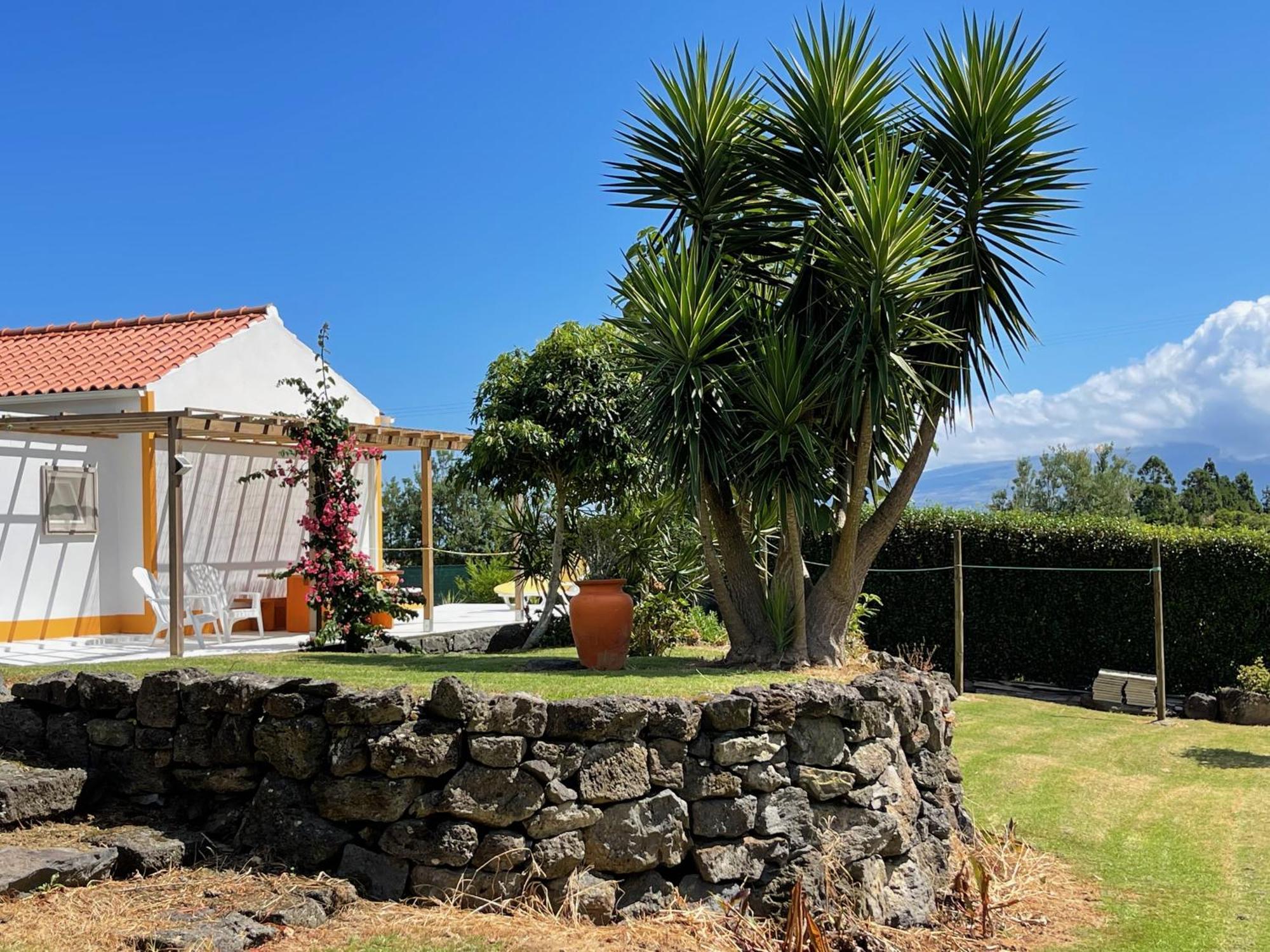 Casa Do Bicho Pau * Pedro Miguel