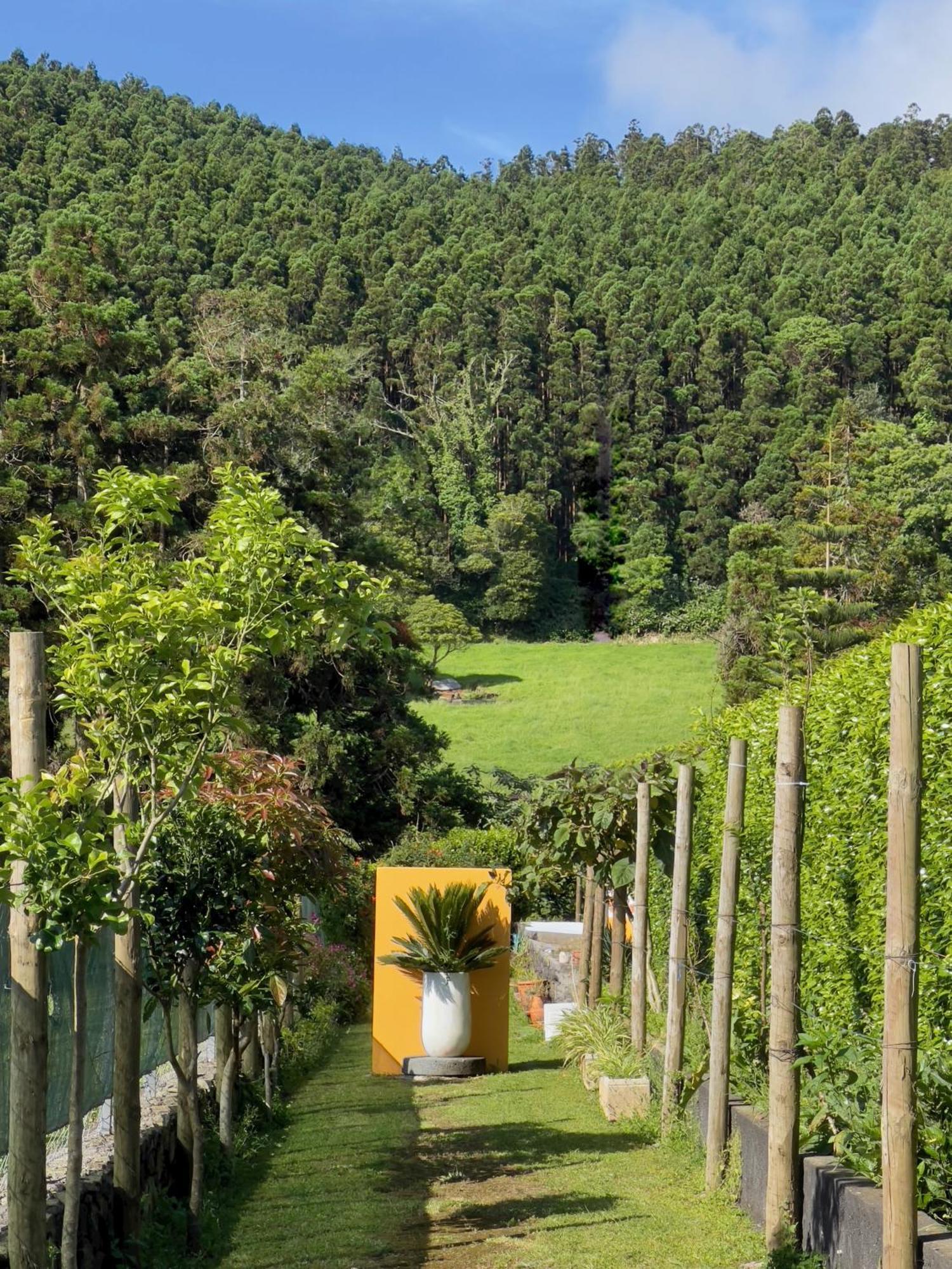 Holiday home Casa Do Bicho Pau